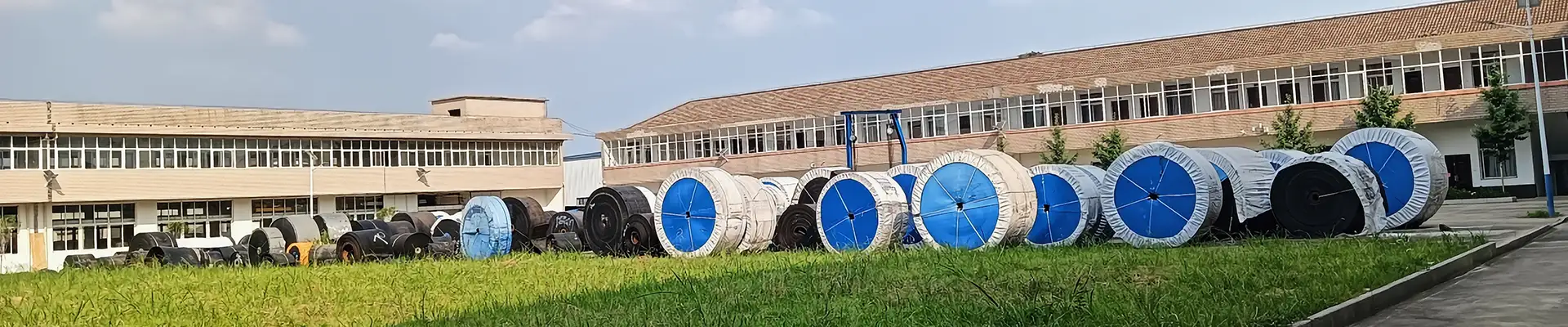 Cintura del trasportatore